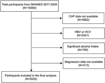 Exploring the link: magnesium intake and hepatic steatosis in Americans